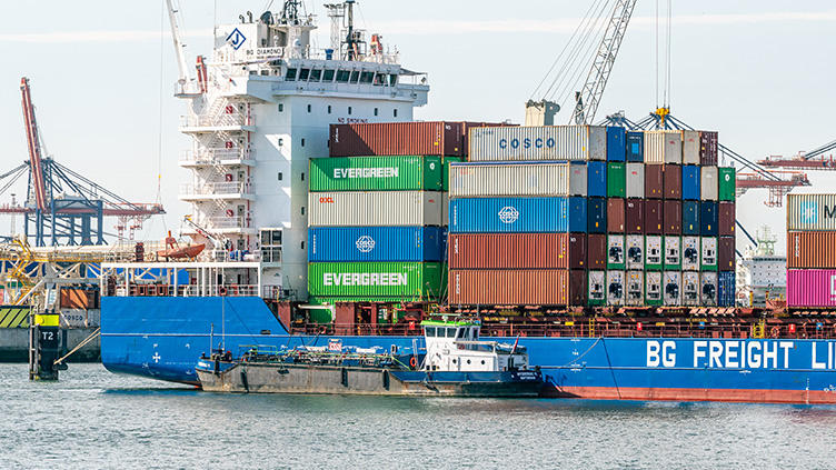 burando-environmental